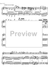 Concerto No. 2 C Major KV314 - Score