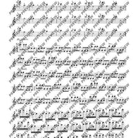 100 Technical Paraphrases on Kreutzer-Etudes