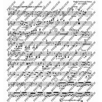 2. Concerto in C - Set of Parts