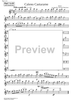 Caleno Casturame - Alto Saxophone