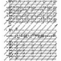 Concerto E Major - Score