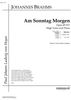 Am Sonntag Morgen Op.49 No. 1