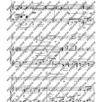 Hamburg Concerto - Piano Score and Solo Part