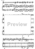 Concerto for guitar and strings - Score