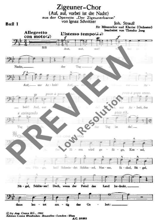 Zigeuner-Chor - Bass I