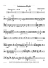 Boisterous Flight - Cello
