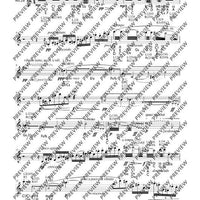 The Flute Expedition