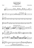 Void of Day - Flute 2