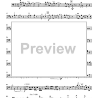 A Chanukah Medley - Violoncello