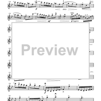 Suzuki Violin School, Volume 5 - Violin Part