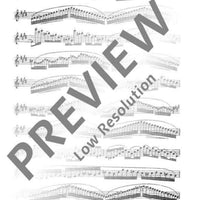 30 Virtuoso Etudes in all major and minor keys