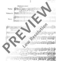 Piano Trio G minor - Full Score