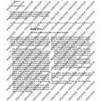 Moderne Blockflötentechnik