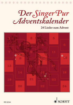 Morgenstern der finstern Nacht