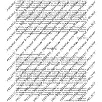 The Flute Expedition