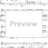 Moments in the Woods