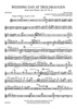 Wedding Day At Troldhaugen, Op. 65, No. 6 for Band - Flute 2