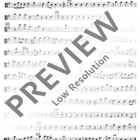 Concerto grosso in G major - Viola