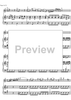 Concerto C Major KV314 - Score