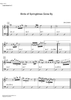 Birds of Springtimes Gone By - C Instrument