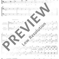 Concerto Grosso - Violone/double Bass