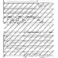 Meeting the spirit of water - Performing Score