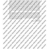 Duetto buffo di due gatti