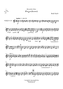 Frigadouné - Bb Trumpet 2