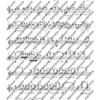 Désespoir in C minor