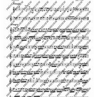 Concerto A minor - Set of Parts