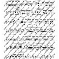 100 Classical and Romantical Études