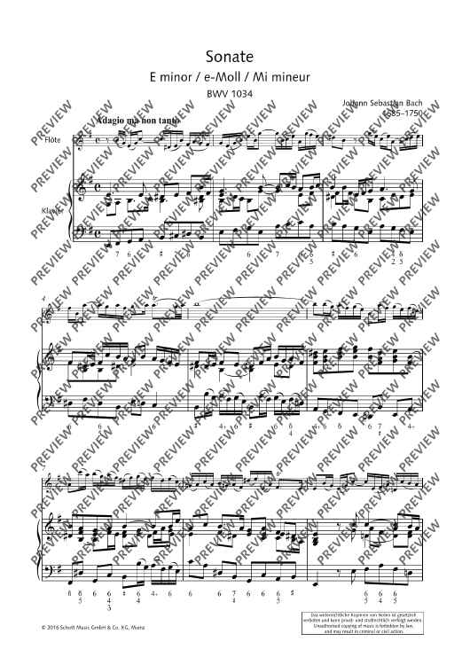 Sonata No. 5 E minor