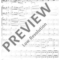 Concerto Grosso in D major - Violone/double Bass