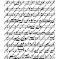 Duo concertant C major - Performing Score