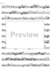 Concerto Bb Major KV191 - Bassoon