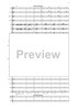 Fantasia di Concerto - Score