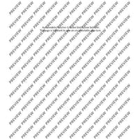 Flute Duets - Performing Score