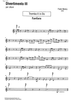 Divertimento III - C Trumpet2