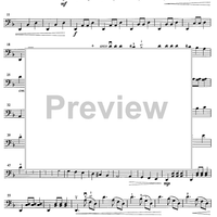 Running of the Bulls