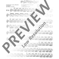 100 Technical Paraphrases on Kreutzer-Etudes