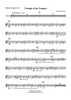 Triangle of the Tempest - Baritone Saxophone