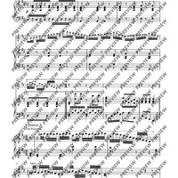 Variationen über „Nel cor più non mi sento“