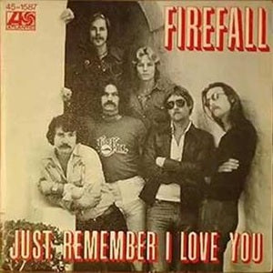 Just Remember I Love You