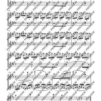 Duo D major - Performing Score