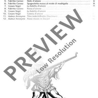 12 Pieces for the Lute