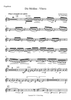 Die Moldau - Vltava - Flugelhorn