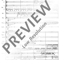 Bildnisse III - Full Score