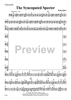 The Syncopated Specter - Cello