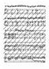 Concertino No. 3 in E Minor - Piano Reduction