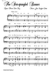 U.S.A.- The Star Spangled Banner
